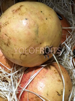 Spain Mirlo Pomegranates Jumbo Mollar Fresh Fruits & Vegetables
