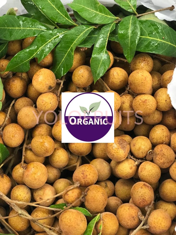 Thailand Organic Longans (~1Kg)