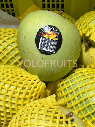 Thailand R2E2 Mango Xlarge Fresh Fruits & Vegetables