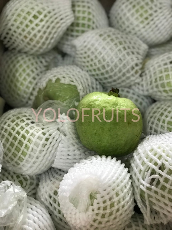 Thailand Seedless Guavas (Set Of 3) Fresh Fruits & Vegetables