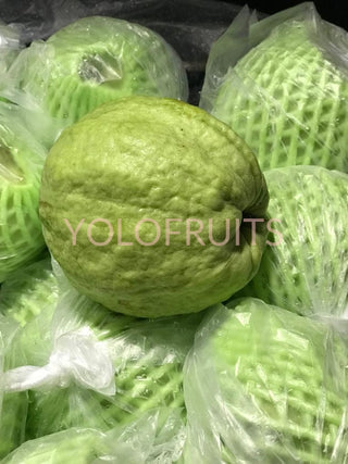 Thailand Seedless Guavas X-Large (Set Of 3) Fresh Fruits & Vegetables