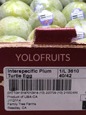 Usa Family Tree Interspecific Plums 3610 Turtle Egg (Set Of 3) Fresh Fruits & Vegetables
