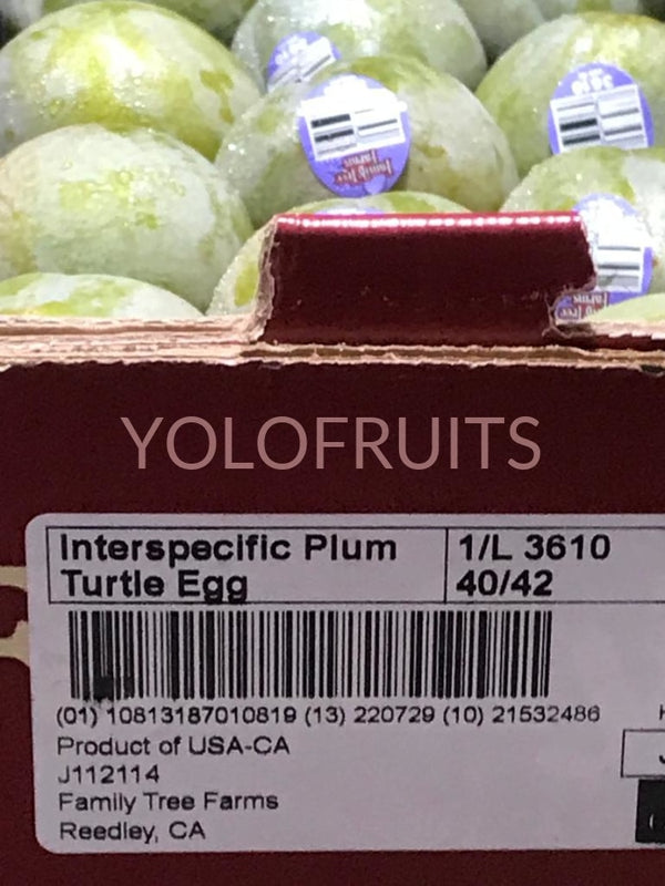 Usa Family Tree Interspecific Plums 3610 Turtle Egg (Set Of 3) Fresh Fruits & Vegetables