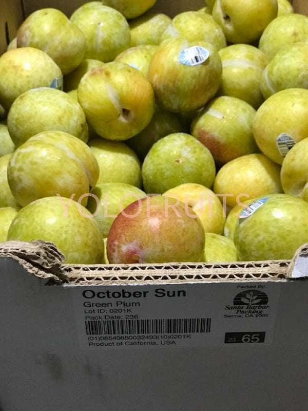 Usa October Sun Plums 4435 Small (Set Of 4) Fresh Fruits & Vegetables